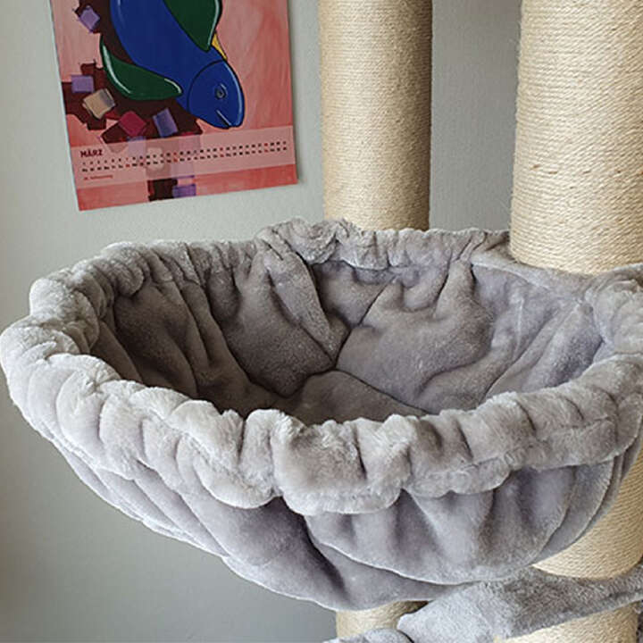 Nobby Kratzbaum Rubi